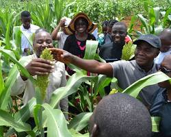 Agricultural Innovators